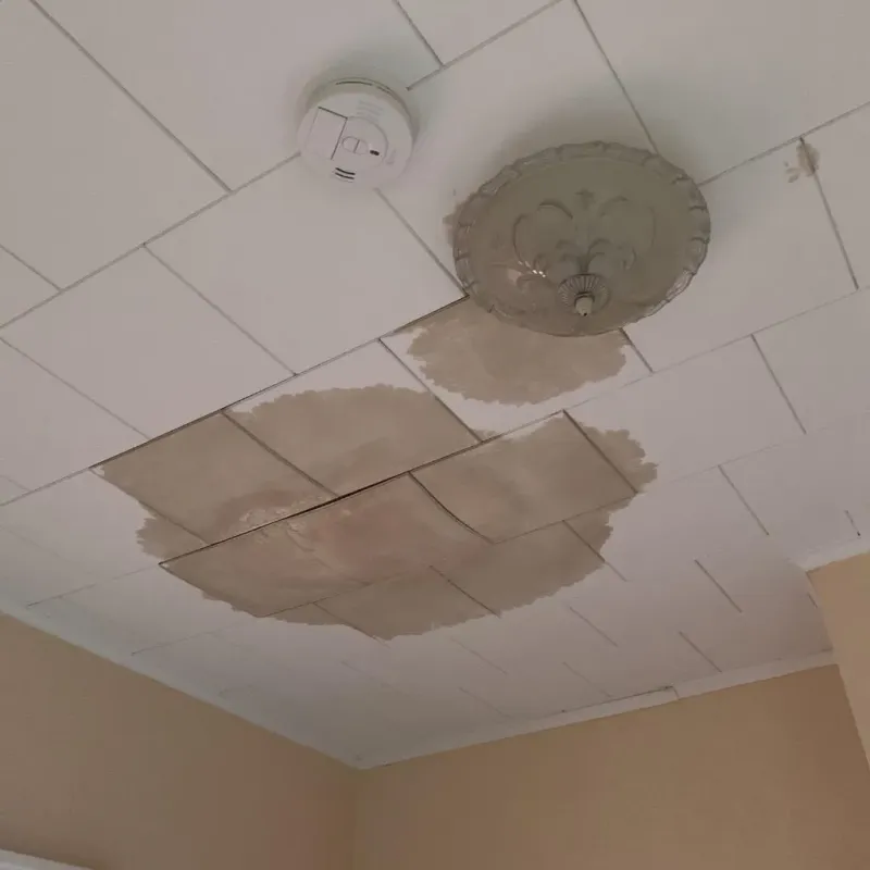 Ceiling Water Damage Repair in Lake Secession, SC