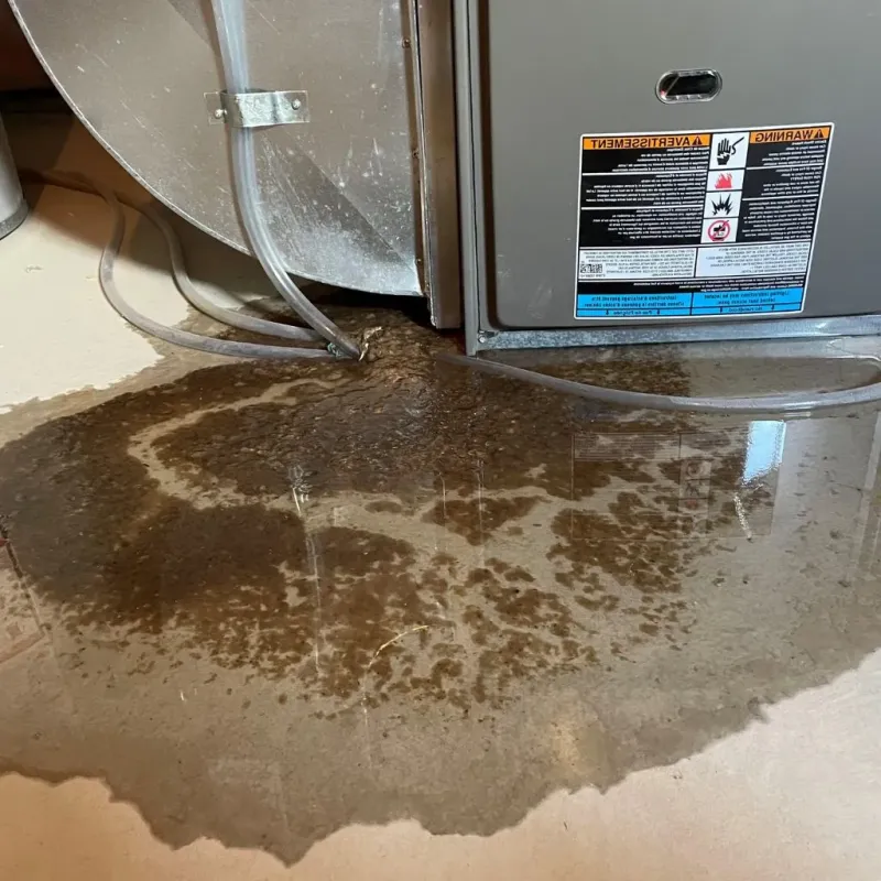 Pipe Burst and Leak Restoration in Lake Secession, SC