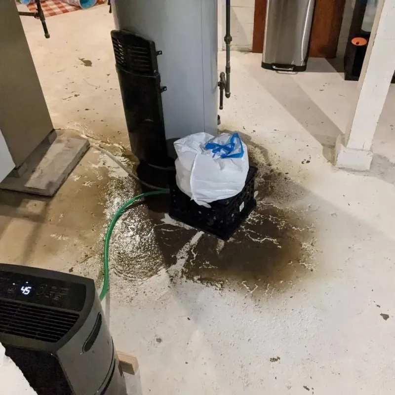 Sewage Backup Cleanup Service in Lake Secession, SC